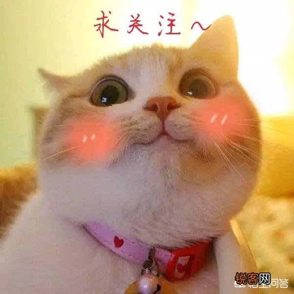 王者荣耀kpl职业选手里,谁是顶级上单？