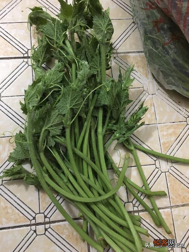 冬瓜尖炒着吃方法？