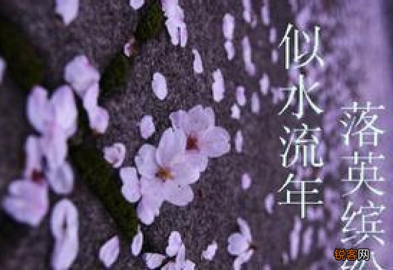 落英缤纷怎么造句,落英缤纷成语造句