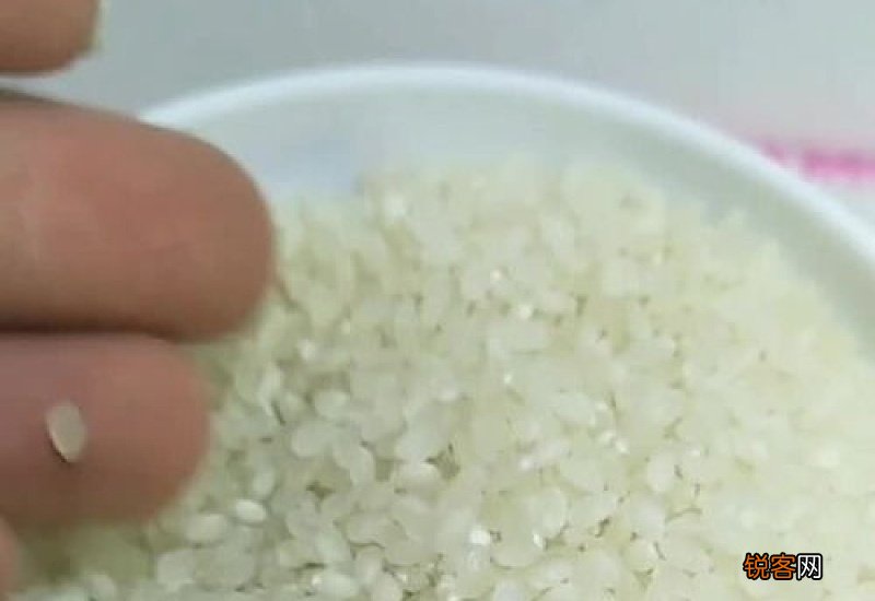 大米有虫子了还可以吃吗