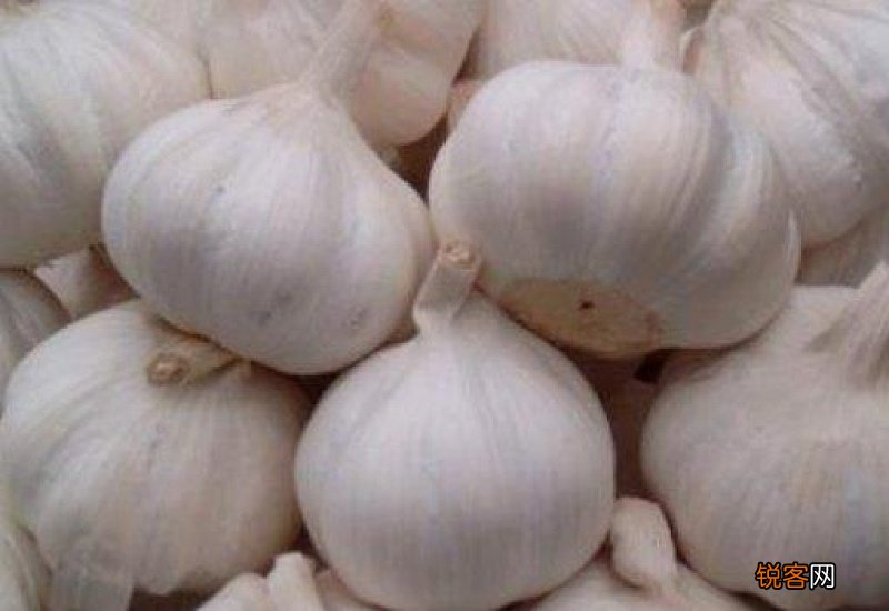 蒜的寓意和象征