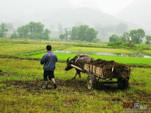 四海无闲田,农夫犹饿死有几层意思？