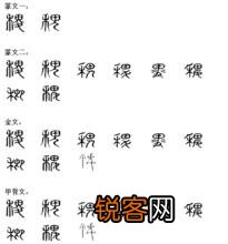 “锄禾日当午”中的“禾”指的是什么？