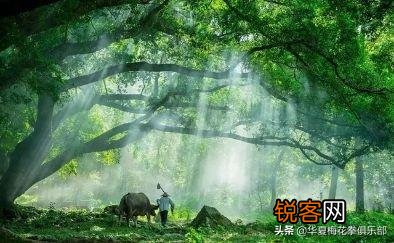 《悯农》中“锄禾日当午”锄的是什么农作物？肯定不是玉米？