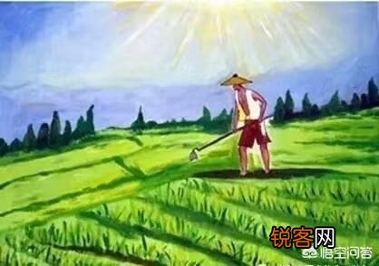 如何理解“锄禾日当午,汗滴禾下土。谁知盘中餐,粒粒皆辛苦”？