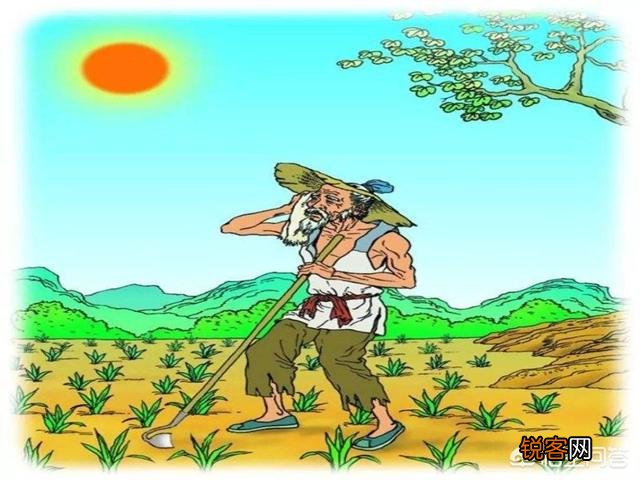 如何理解“锄禾日当午,汗滴禾下土。谁知盘中餐,粒粒皆辛苦”？