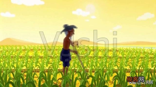 为什么《悯农》是锄禾日当午,而不是锄草日当午？
