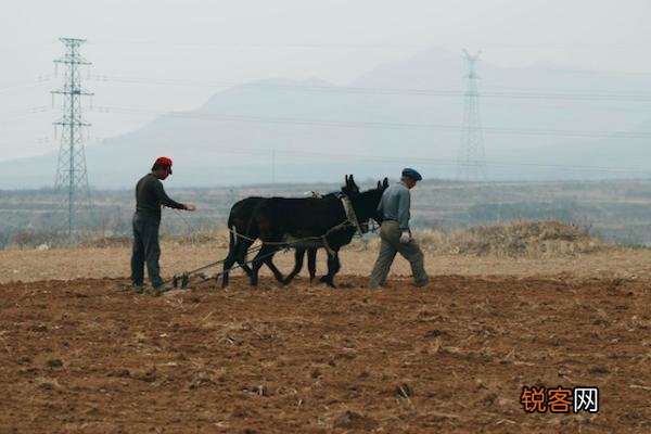 请问锄禾日当午,汗滴禾下土。真正的涵义是什么？