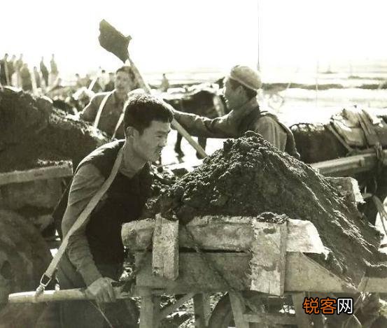 请问锄禾日当午,汗滴禾下土。真正的涵义是什么？