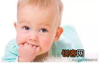 想问问宝妈们6个月的宝宝可以吃辅食吗？