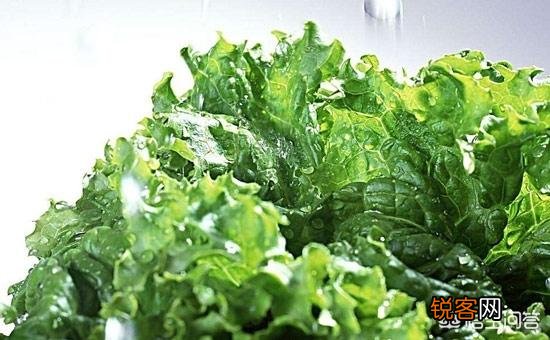 6-12个月的宝宝的辅食添加顺序是什么？