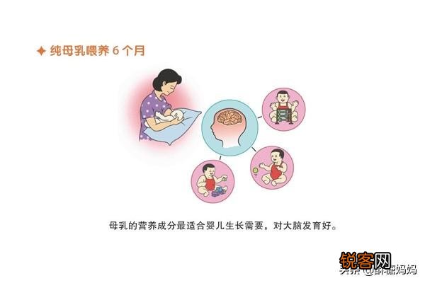 我家宝宝7个月了,都应该添加什么辅食呢？6个月只吃母乳和米粉？