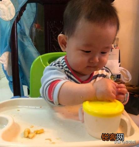 6-12个月宝宝辅食应该吃什么,怎么做呢？