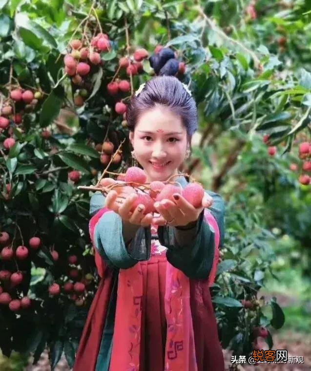 美军曾发动越南战争,为什么感觉越南人不恨美国？