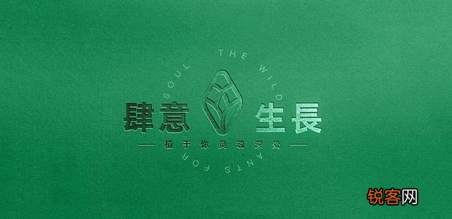 大家觉得设计的非常好logo有那些？