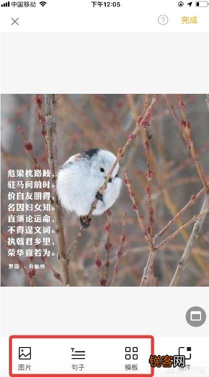 在线设计图片的平台有哪些好的推荐？