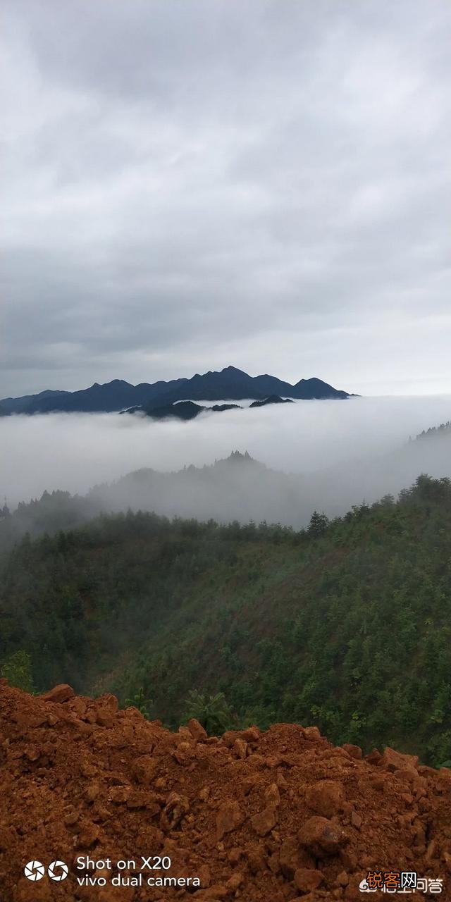 你认为投资什么行业能稳赚钱?