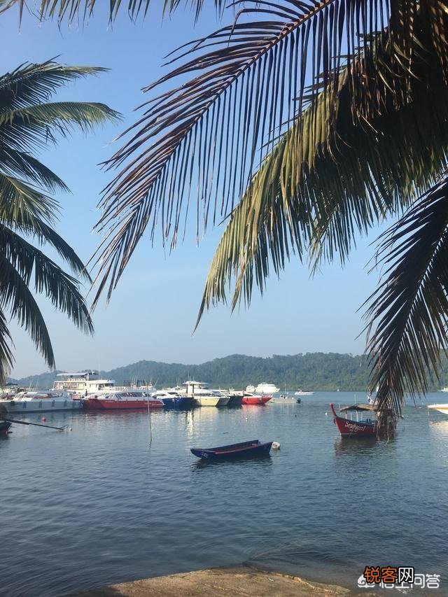 为什么去泰国旅行到处都是中文,有的泰国人也会点汉语？