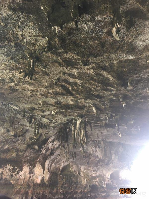 为什么去泰国旅行到处都是中文,有的泰国人也会点汉语？