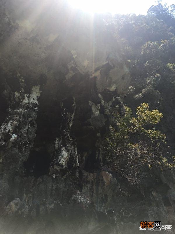 为什么去泰国旅行到处都是中文,有的泰国人也会点汉语？