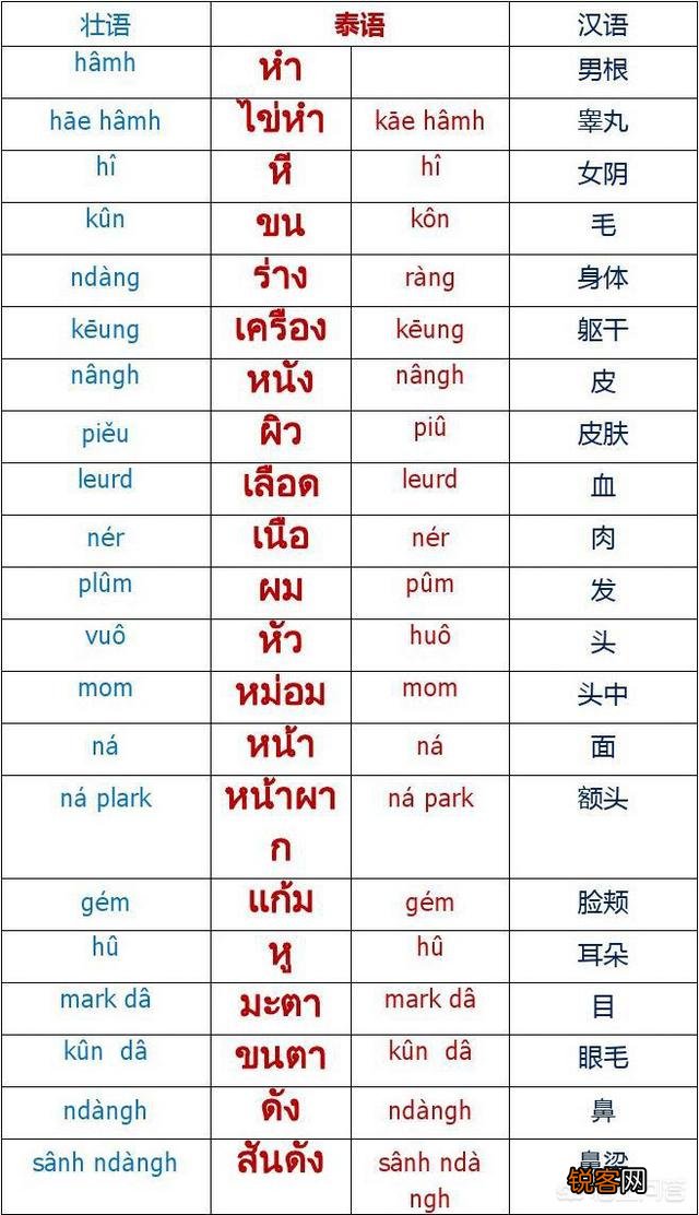 壮语和泰语差得多吗？壮族人去泰国是否可以不用翻译？