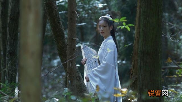 《雪中悍刀行》中姜泥为什么说誓杀徐凤年,他们有什么深仇大恨？