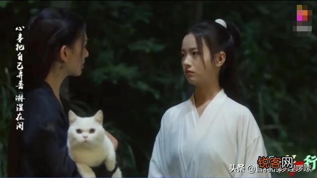 《雪中悍刀行》中姜泥为什么说誓杀徐凤年,他们有什么深仇大恨？