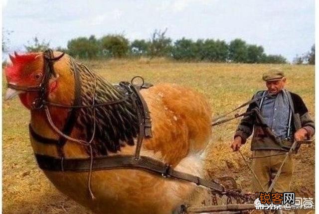 2019年,投资什么东西最赚钱？