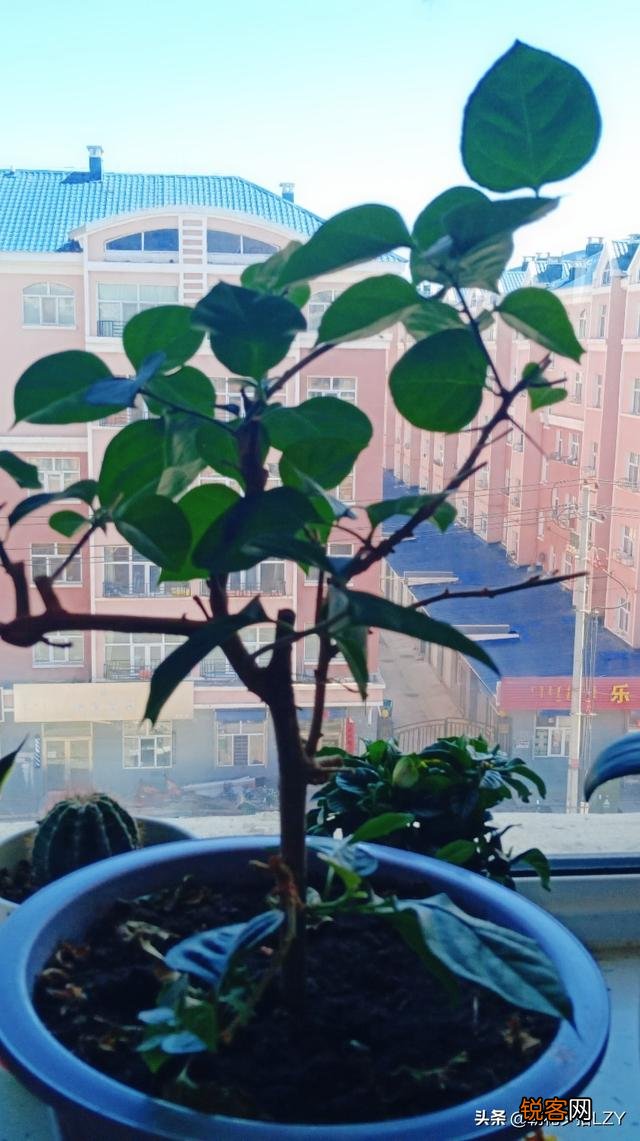 在农村投资点什么可以赚钱的？