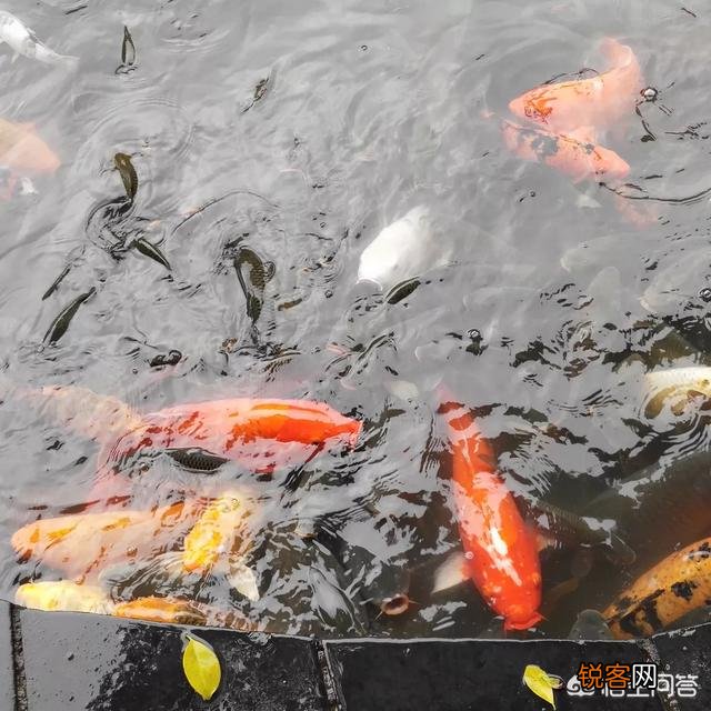 做什么投资可以挣钱？