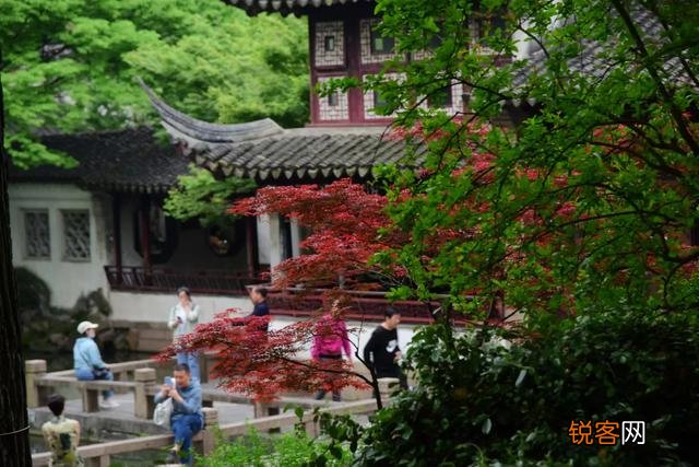 苏州哪里旅游最好玩？你去过哪些地方？