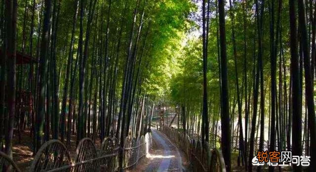 苏州旅游有哪些地方最应该去？