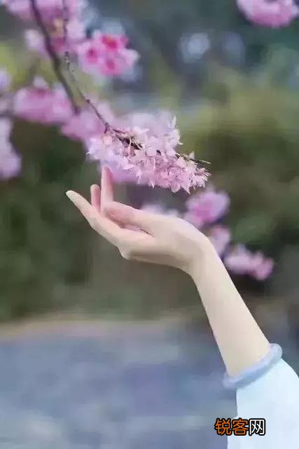 有哪些幽默风趣的短句,说出来让大家放松一下？