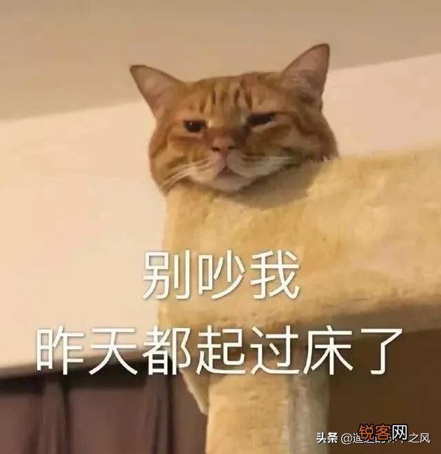 幽默有哲理的句子有哪些？