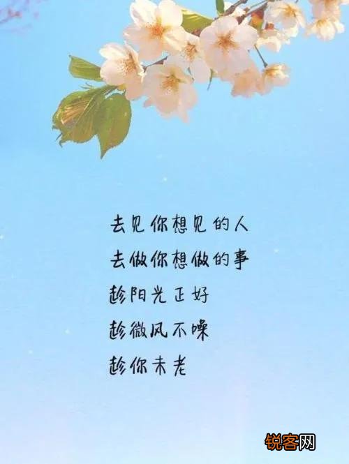 幽默有哲理的句子有哪些？
