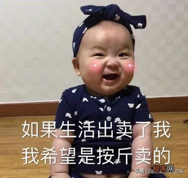 幽默有哲理的句子有哪些？