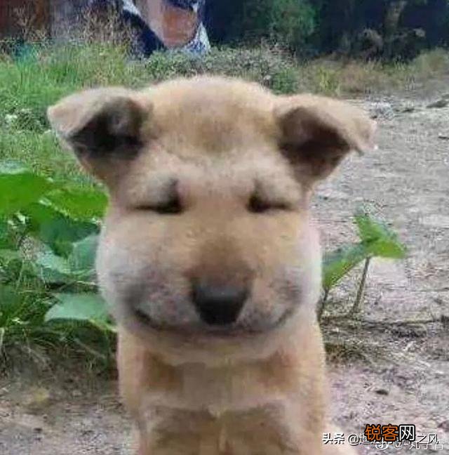 幽默有哲理的句子有哪些？