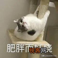 幽默有哲理的句子有哪些？
