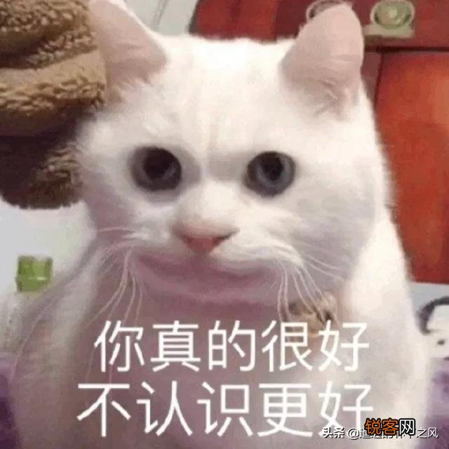 幽默有哲理的句子有哪些？