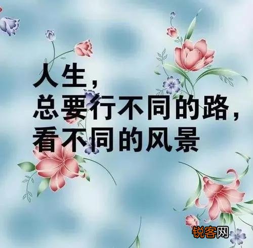 幽默有哲理的句子有哪些？