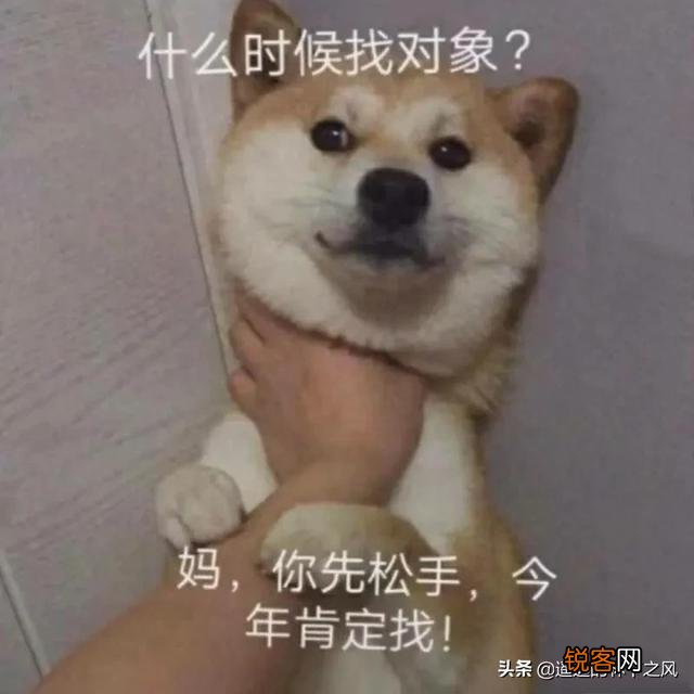 幽默有哲理的句子有哪些？