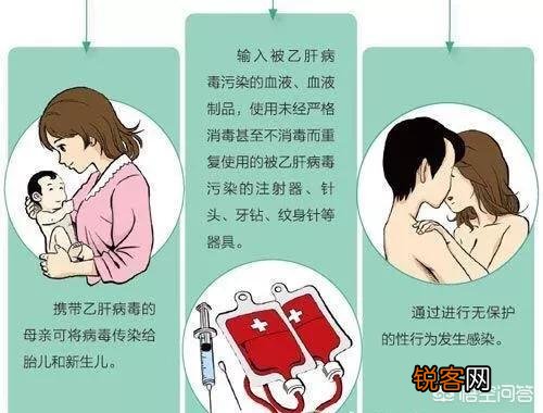 刘德华自爆是乙肝病毒携带者,乙肝病毒会通过什么途径传染？