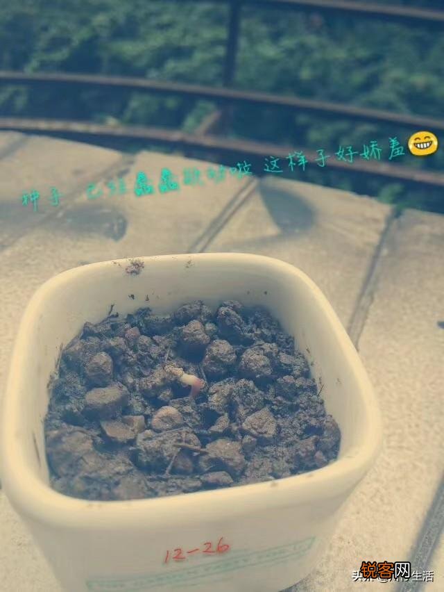 在高速上,你遇到过什么搞笑的事情吗？