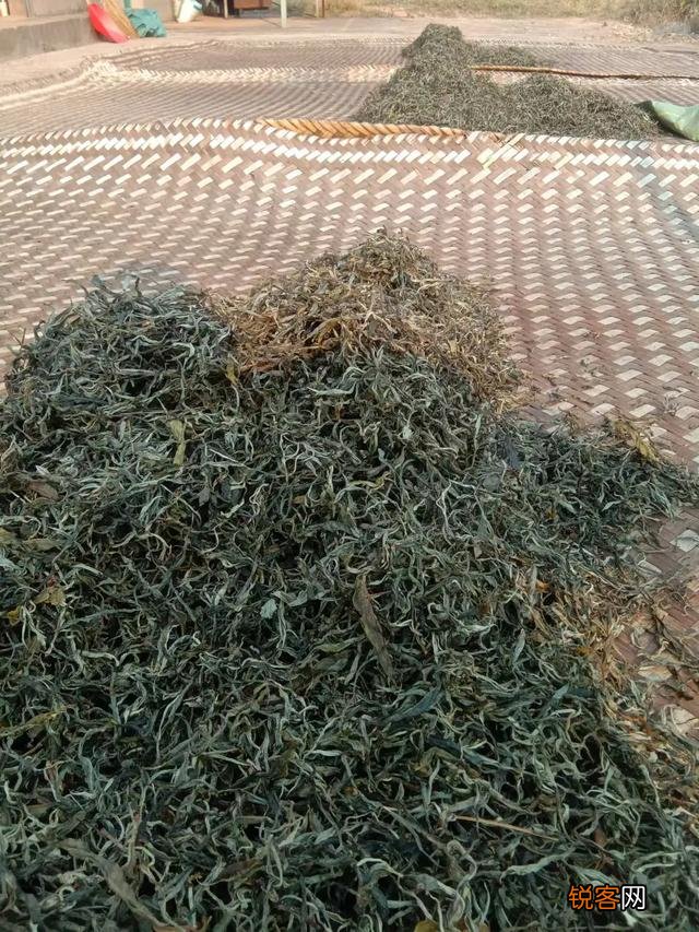 什么样的普洱茶比较好？怎么挑选普洱茶？