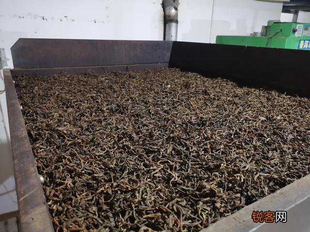 什么样的普洱茶比较好？怎么挑选普洱茶？