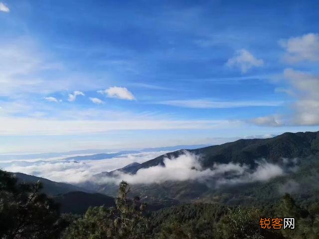 什么样的普洱茶比较好？怎么挑选普洱茶？