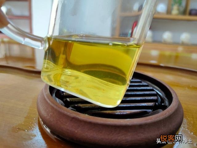 什么样的普洱茶比较好？怎么挑选普洱茶？