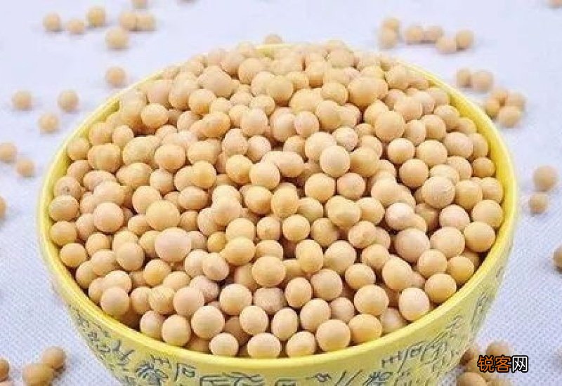 有哪些健脾的食物？这些健脾食物应该要多吃