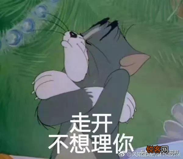 你听过哪些怼人的语录？