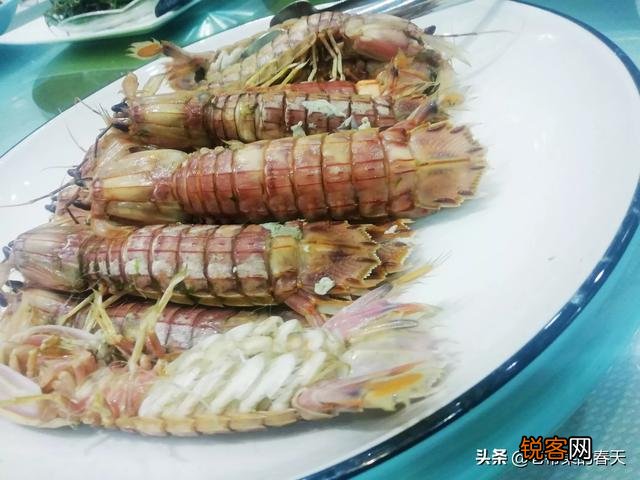 当你快吃完一盘菜时,发现里面藏有洪荒神兽,是什么感受？